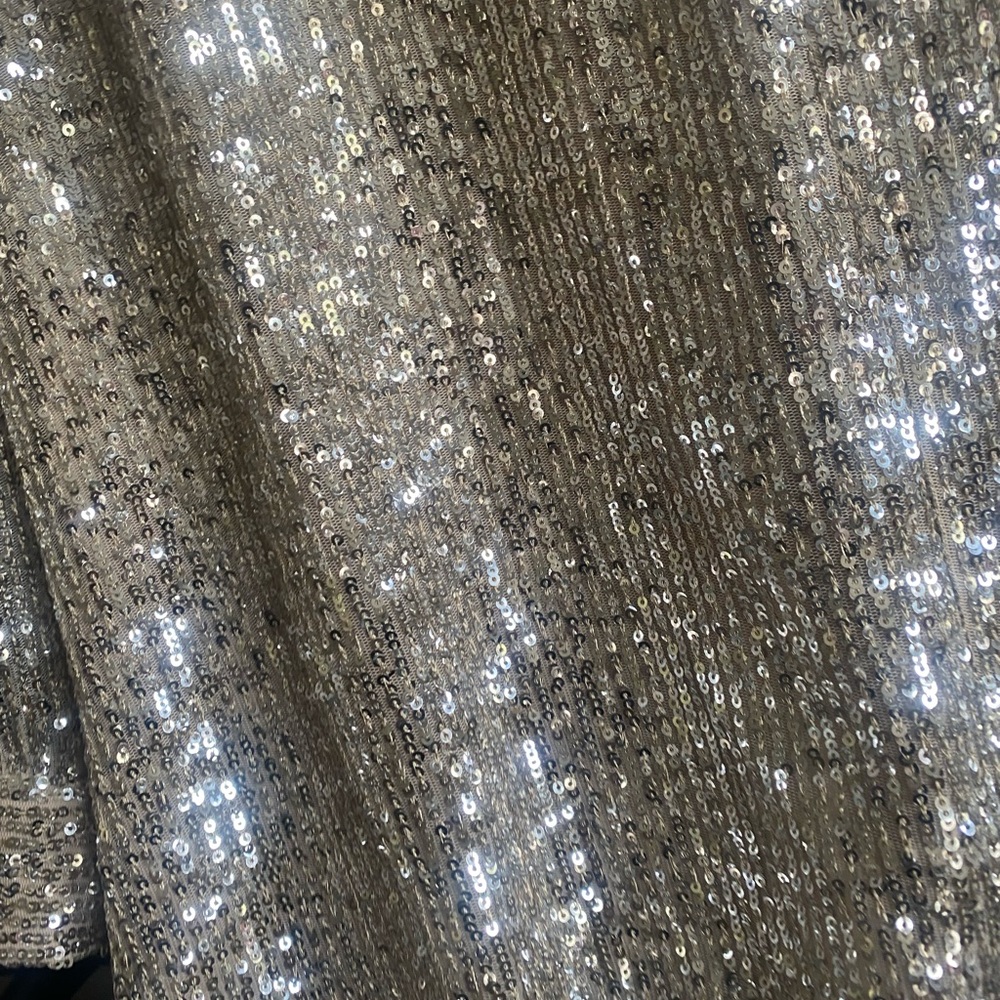 NWOT 7 for All Mankind Silver Sequin Cocktail Dress. Size X-Large - Picture 12 of 14